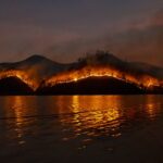 fire damage Paso Robles