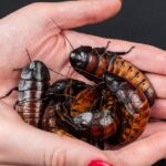 Paso Robles self-storage